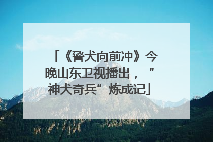 《警犬向前冲》今晚山东卫视播出，“神犬奇兵”炼成记