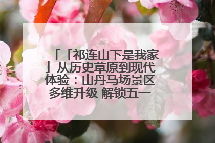 「祁连山下是我家」从历史草原到现代体验：山丹马场景区多维升级 解锁五一文旅新玩法