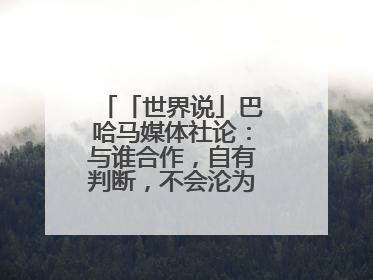 「世界说」巴哈马媒体社论：与谁合作，自有判断，不会沦为“权力游戏”