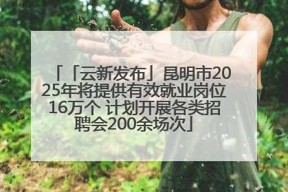 「云新发布」昆明市2025年将提供有效就业岗位16万个 计划开展各类招聘会200余场次