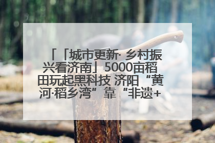 「城市更新· 乡村振兴看济南」5000亩稻田玩起黑科技 济阳“黄河·稻乡湾”靠“非遗+露营”火出圈