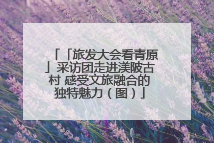 「旅发大会看青原」采访团走进渼陂古村 感受文旅融合的独特魅力（图）