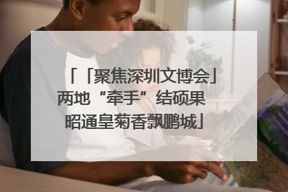 「聚焦深圳文博会」两地“牵手”结硕果 昭通皇菊香飘鹏城