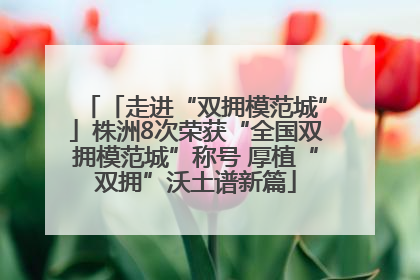 「走进“双拥模范城”」株洲8次荣获“全国双拥模范城”称号 厚植“双拥”沃土谱新篇