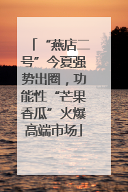 “燕店二号”今夏强势出圈，功能性“芒果香瓜”火爆高端市场
