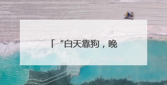 “白天靠狗，晚上靠灯”！菌子近期疯长！别乱捡