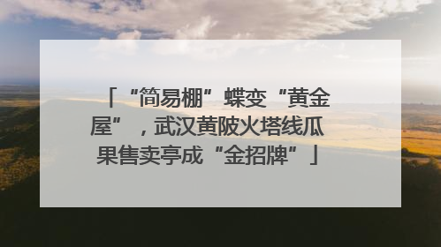 “简易棚”蝶变“黄金屋”，武汉黄陂火塔线瓜果售卖亭成“金招牌”