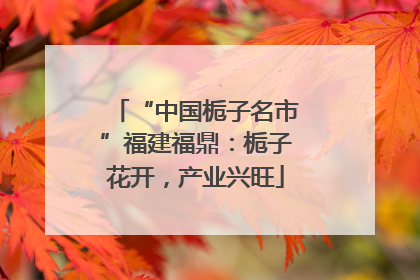 “中国栀子名市”福建福鼎：栀子花开，产业兴旺