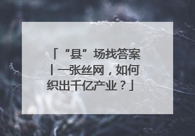 “县”场找答案丨一张丝网，如何织出千亿产业？