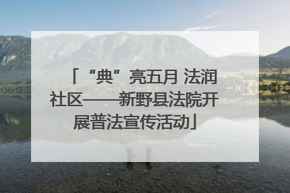 “典”亮五月 法润社区——新野县法院开展普法宣传活动