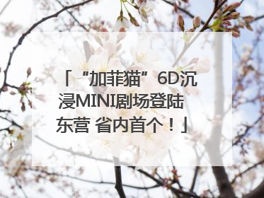 “加菲猫”6D沉浸MINI剧场登陆东营 省内首个！
