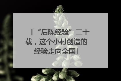 “后陈经验”二十载，这个小村创造的经验走向全国