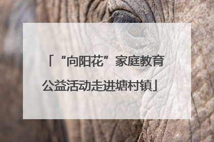 “向阳花”家庭教育公益活动走进塘村镇