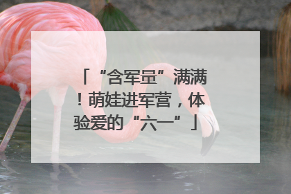 “含军量”满满！萌娃进军营，体验爱的“六一”