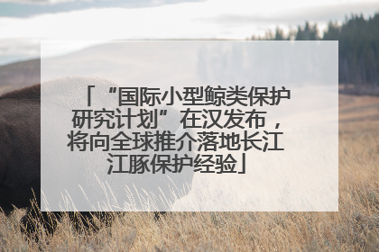 “国际小型鲸类保护研究计划”在汉发布，将向全球推介落地长江江豚保护经验