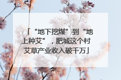 “地下挖煤”到“地上种艾”，肥城这个村艾草产业收入破千万
