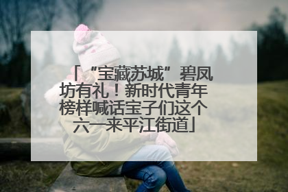 “宝藏苏城”碧凤坊有礼！新时代青年榜样喊话宝子们这个六一来平江街道