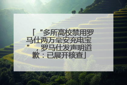 “多所高校禁用罗马仕两万毫安充电宝”，罗马仕发声明道歉：已展开核查