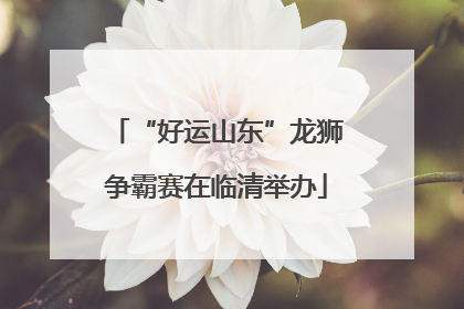 “好运山东”龙狮争霸赛在临清举办