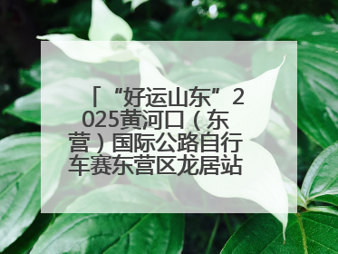 “好运山东”2025黄河口（东营）国际公路自行车赛东营区龙居站 完美“抄作业”，苦战最后时刻黄衫易主
