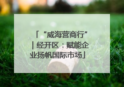 “威海营商行”｜经开区：赋能企业扬帆国际市场