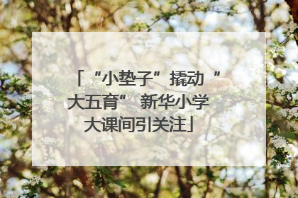 “小垫子”撬动“大五育” 新华小学大课间引关注