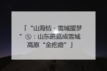“山海情・雪域援梦”⑤：山东蘑菇成雪域高原“金疙瘩”