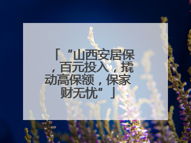 “山西安居保，百元投入，撬动高保额，保家财无忧”