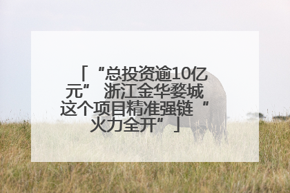 “总投资逾10亿元” 浙江金华婺城这个项目精准强链“火力全开”