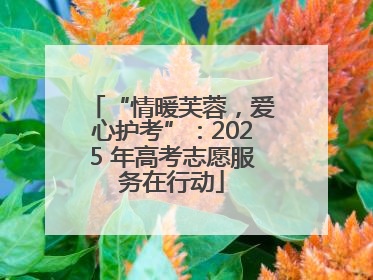 “情暖芙蓉，爱心护考”：2025 年高考志愿服务在行动
