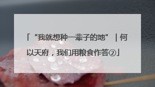 “我就想种一辈子的地”｜何以天府，我们用粮食作答②
