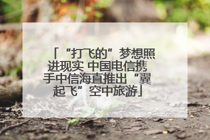 “打飞的”梦想照进现实 中国电信携手中信海直推出“翼起飞”空中旅游