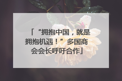 “拥抱中国，就是拥抱机遇！”多国商会会长呼吁合作