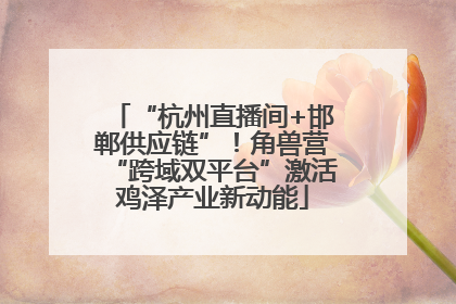 “杭州直播间+邯郸供应链”！角兽营“跨域双平台”激活鸡泽产业新动能