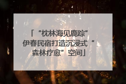 “枕林海见鹿踪” 伊春民宿打造沉浸式“森林疗愈”空间