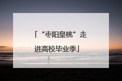 “枣阳皇桃”走进高校毕业季