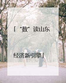“数”读山东经济新引擎
