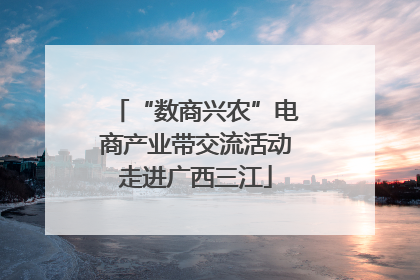 “数商兴农”电商产业带交流活动走进广西三江