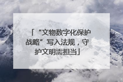 “文物数字化保护战略”写入法规，守护文明需担当