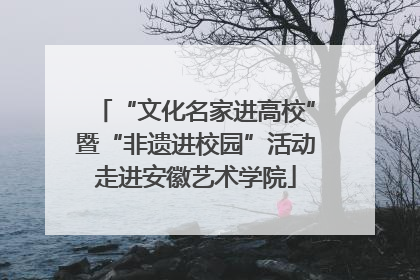 “文化名家进高校”暨“非遗进校园”活动走进安徽艺术学院
