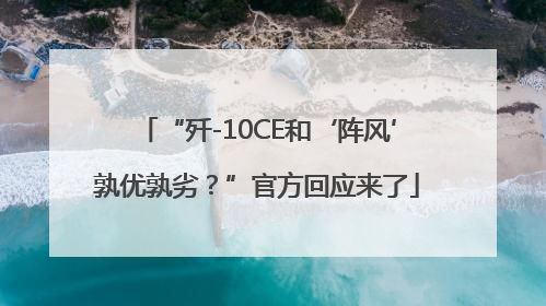 “歼-10CE和‘阵风’孰优孰劣？”官方回应来了