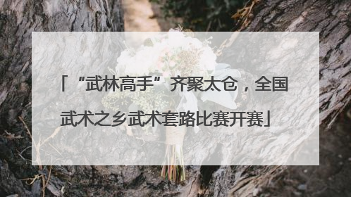 “武林高手”齐聚太仓，全国武术之乡武术套路比赛开赛