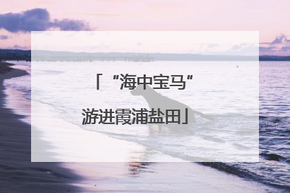 “海中宝马”游进霞浦盐田