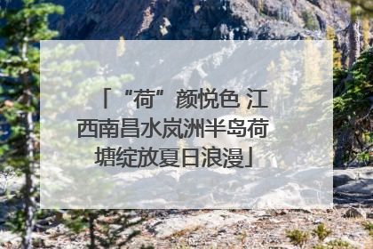 “荷”颜悦色 江西南昌水岚洲半岛荷塘绽放夏日浪漫