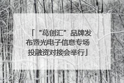 “葛创汇”品牌发布暨光电子信息专场投融资对接会举行