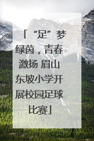 “足”梦绿茵，青春激扬 眉山东坡小学开展校园足球比赛