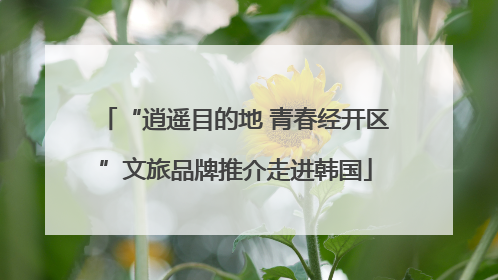 “逍遥目的地 青春经开区”文旅品牌推介走进韩国