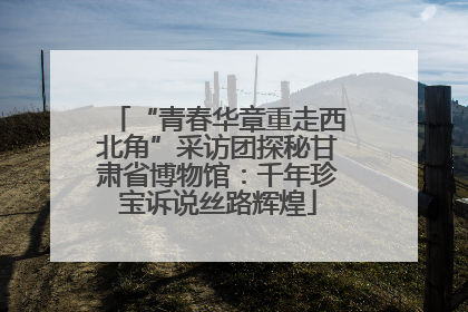 “青春华章重走西北角”采访团探秘甘肃省博物馆：千年珍宝诉说丝路辉煌