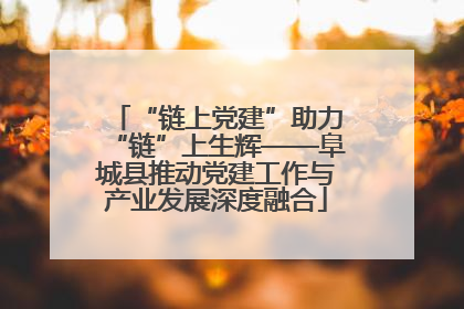 “链上党建”助力“链”上生辉——阜城县推动党建工作与产业发展深度融合