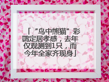 “鸟中熊猫”彩鹮定居孝感，去年仅观测到1只，而今年全家齐现身